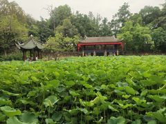 -房湖公园