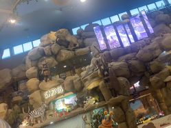 -卡通尼·Safari非洲探索乐园·生日会(金桥国际商业广场店)