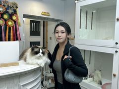 -青奢宠物·青奢猫舍