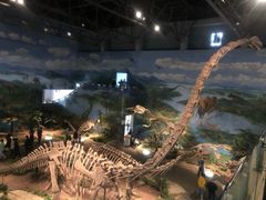 -自贡恐龙博物馆