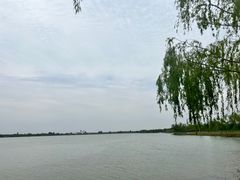 -金沙湖旅游度假区