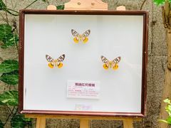 -上海大自然野生昆虫馆(东方明珠·爬宠昆虫探索中心)