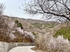 -香山公园