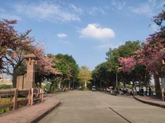 -风云岭森林公园