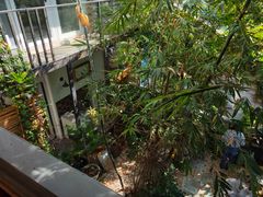 -时光花园(白鹭洲店)