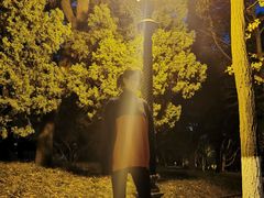 -八大关景区