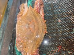 -小厨师·二十年沈家门小海鲜(百井坊巷店)