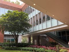 -香港大学