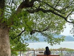 -东钱湖旅游度假区