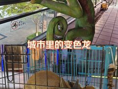 -时代奥城商业广场
