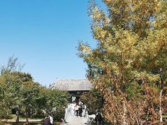 -晋祠公园