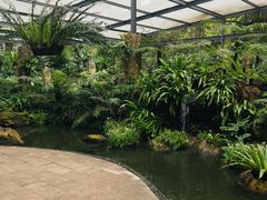 -华南国家植物园-售票处