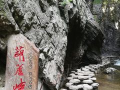 -牛背梁国家森林公园