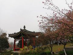 -重庆园博园