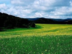 -塞罕坝国家级自然保护区