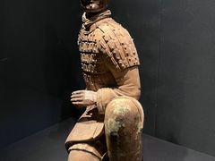 -陕西历史博物馆