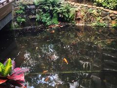 iphone_upload_pic-香港大学