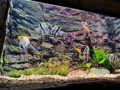 -上海海洋水族馆