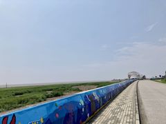 -南汇嘴观海公园