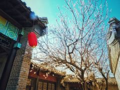 -清风小镇闯关东影视基地