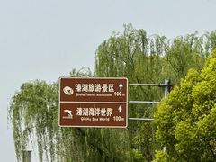 -溱湖国家湿地公园