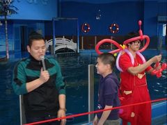 -苏州海洋馆