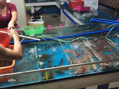 -正能量1号海鲜加工店