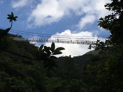 -牛鱼嘴原始生态风景区