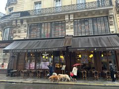 -Le Comptoir de la Gastronomie