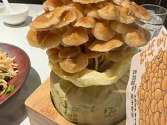 -烹然四季椰子鸡火锅(姚家园万象汇店)