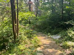 -素山寺森林公园