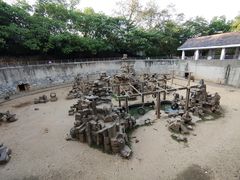 -太子山公园(园东路)