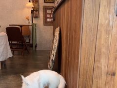 -绿房子方寸咖啡(星海名城店)