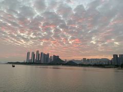 -深圳湾公园(南山区)