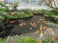 -罗红摄影艺术馆