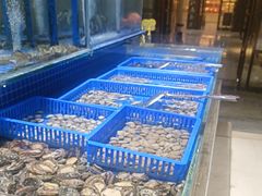 -鸿腾国际大酒店-海鲜姿造海鲜烤肉自助餐