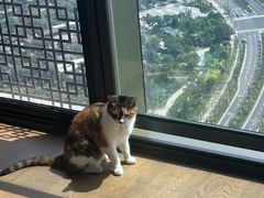 -星巴克(北京通州新光大中心店)