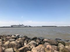 -吴淞炮台湾湿地森林公园烧烤区