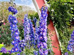 -人民公园(罗湖区)