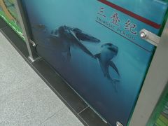 -中国第四纪冰川遗迹陈列馆