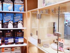 -屋虎猫馆(宝安大仟里店)