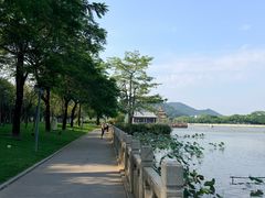 -顺峰山公园