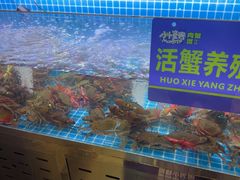 -徐记小怪兽肉蟹煲店(哈西万达金街店)