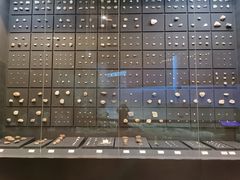 -北京周口店北京人遗址博物馆