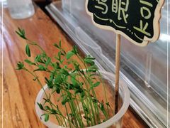 -饵块食光·云南有机手作饵块