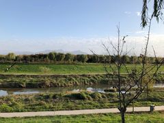 -洨河生态公园
