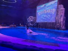 -华夏文旅海洋公园