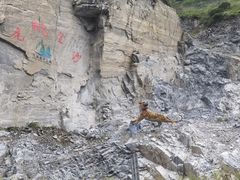 -丽江虎跳峡景区-售票处