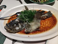 -新兴·金羊座·粤菜点心(乐峰店)