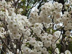 -观澜湖生态运动公社